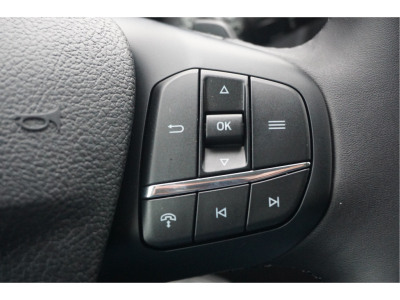 50187997-ford-transit-17