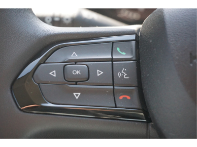 54934208-fiat-ducato-14